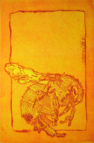 Honey by Tim Rand