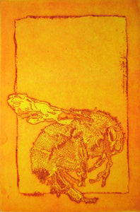Honey by Tim Rand