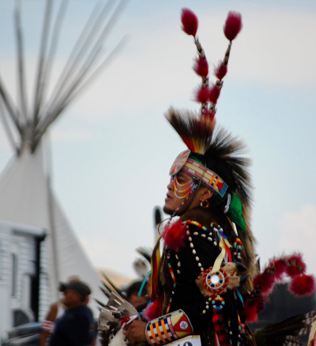 Prairie Chicken Dancer by Donna Stuccio