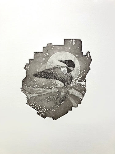 Adirondack Loon by Tim Rand