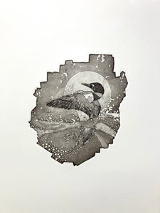 Adirondack Loon by Tim Rand