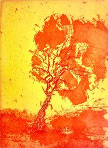 Dustbowl Sun by Tim Rand