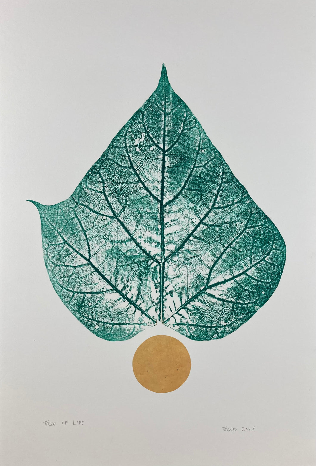 Tree of Life by Tim Rand