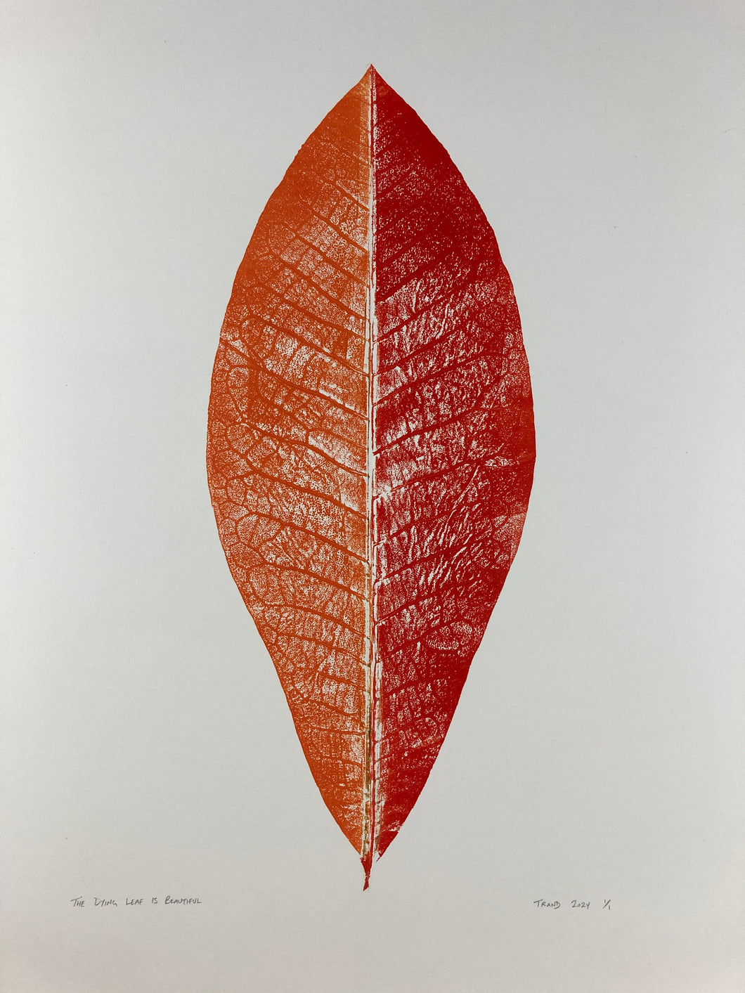 The Dying Leaf is Beatuiful
by Tim Rand