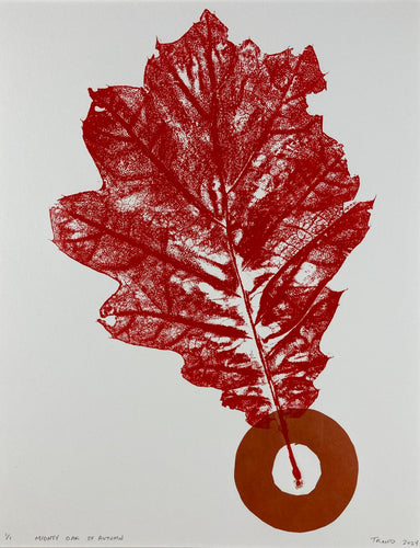 Mighty Oak of Autumn
by Tim Rand