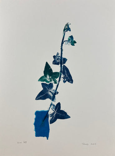 Blue Ivy by Tim Rand