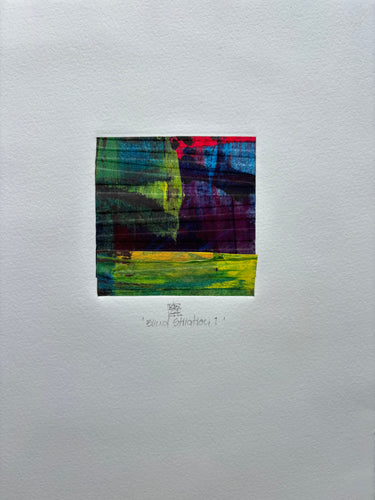 Blind Shiation (Small World Series) by Karin Bruckner