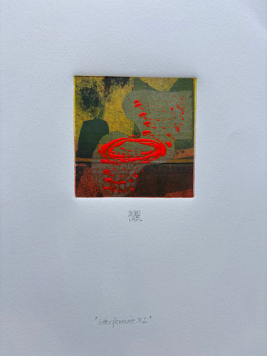Interference x 2 (Small World Series) by Karin Bruckner