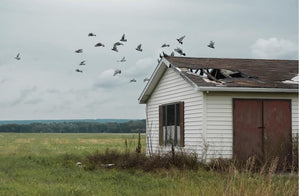 The Birds at Griffiss International Airport by Jon Laduca